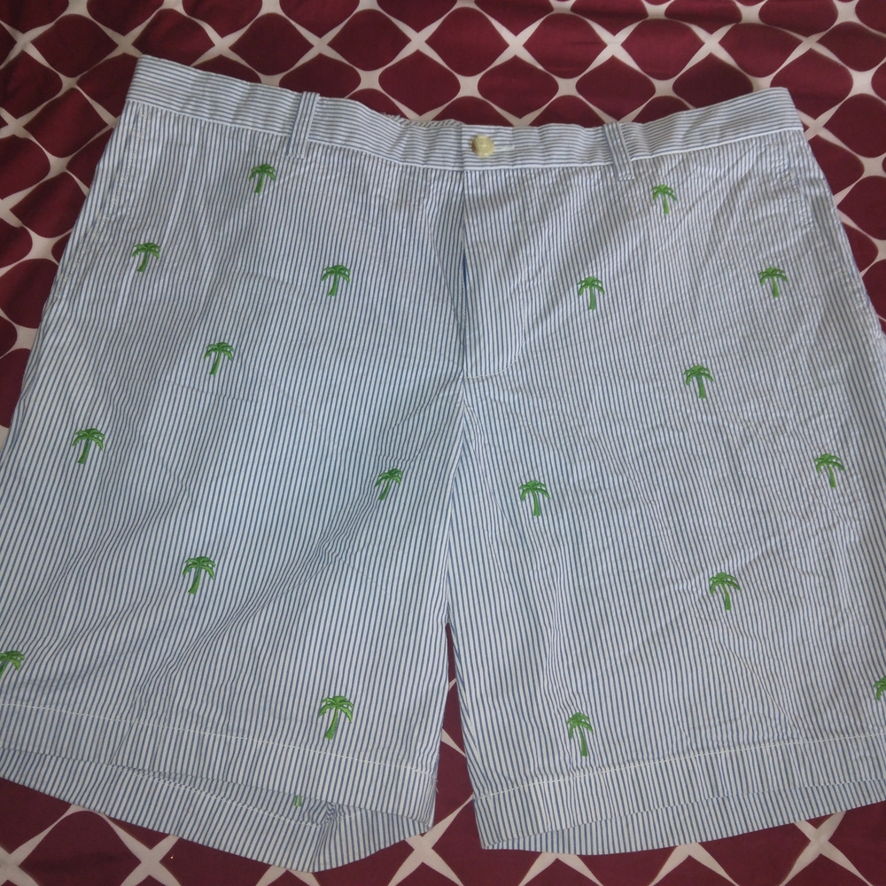 Southern Tode Striped Green Embroidered Men's Shorts Size 40